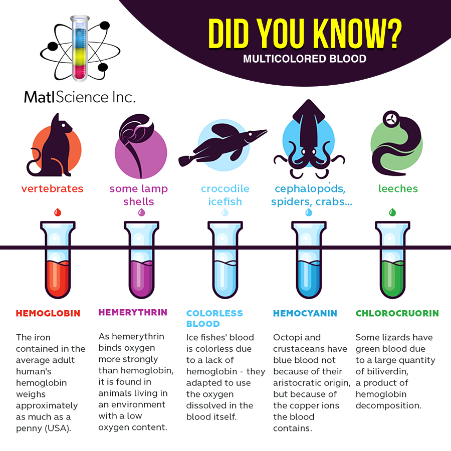 Fun science fact 3
