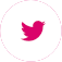 Twitter / X